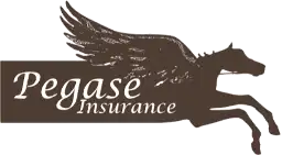 Partenariat Ogalo Pegase Insurance assurance valeur cheval transport