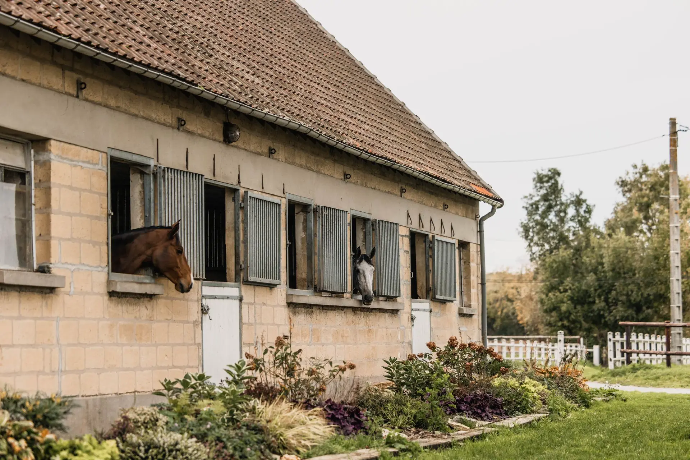 Hébergement équestre pour chevaux et cavaliers