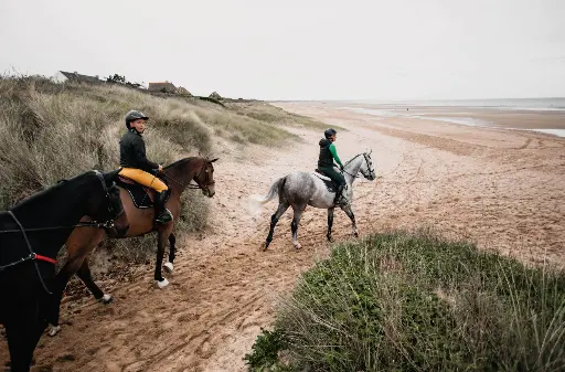 Organisez vos vacances avec votre cheval