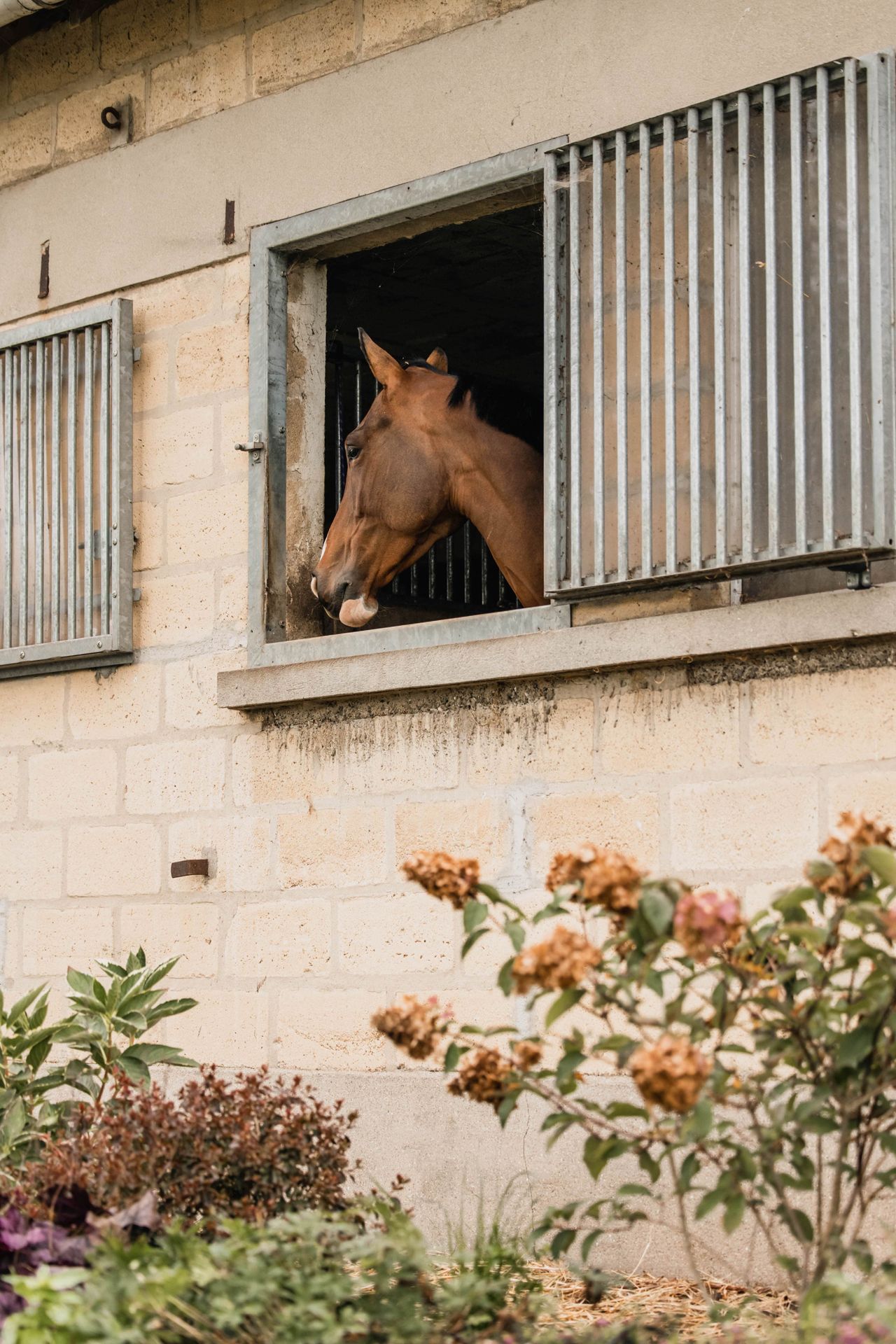Faites référencer votre structure équestre Hébergement équestre
