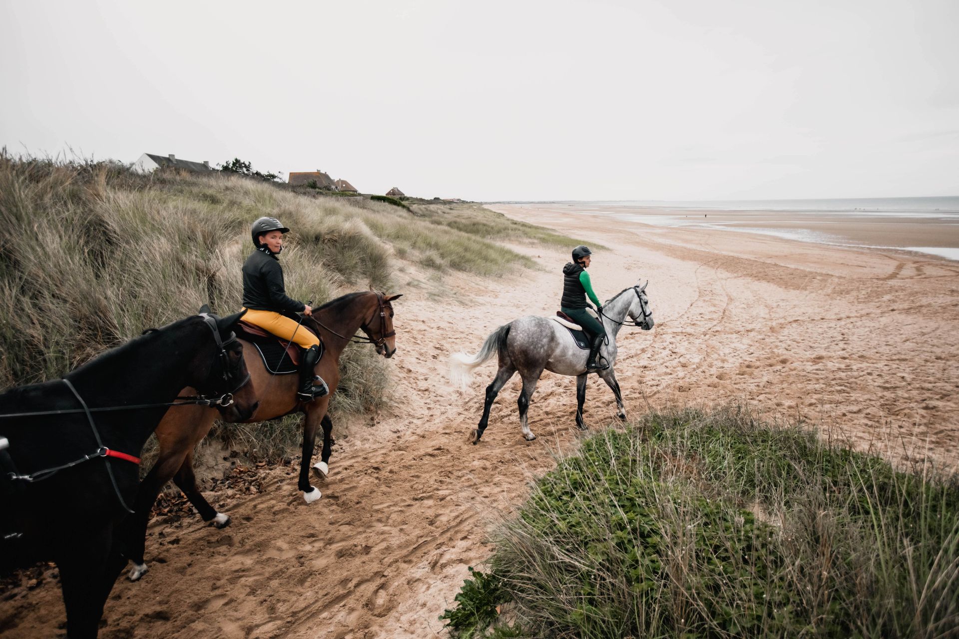 Organisez vos vacances avec votre cheval Vacances cheval