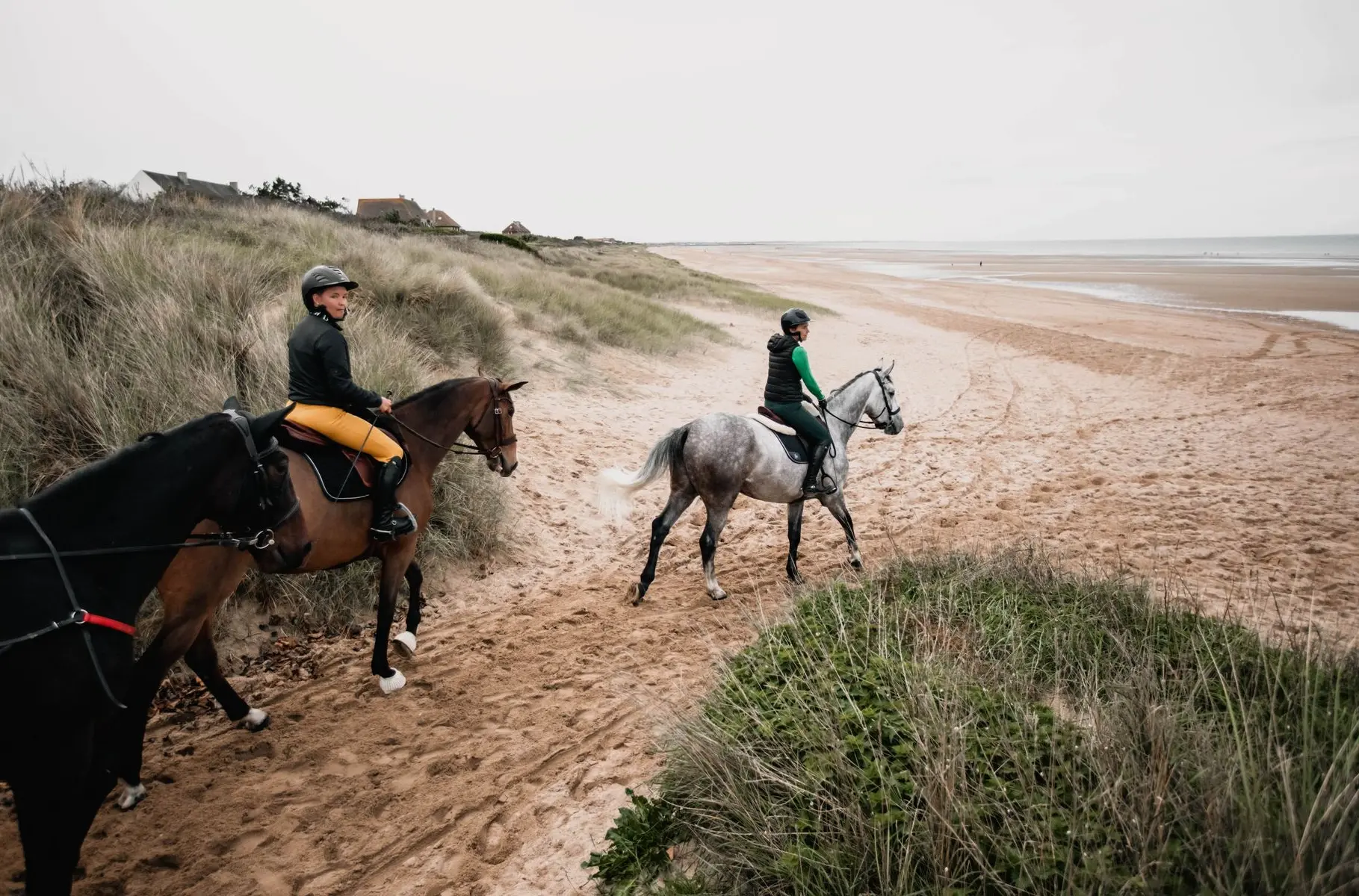 Organisez vos vacances avec votre cheval