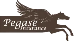 Partenariat Pegase Insurance Ogalo assurance valeur cheval