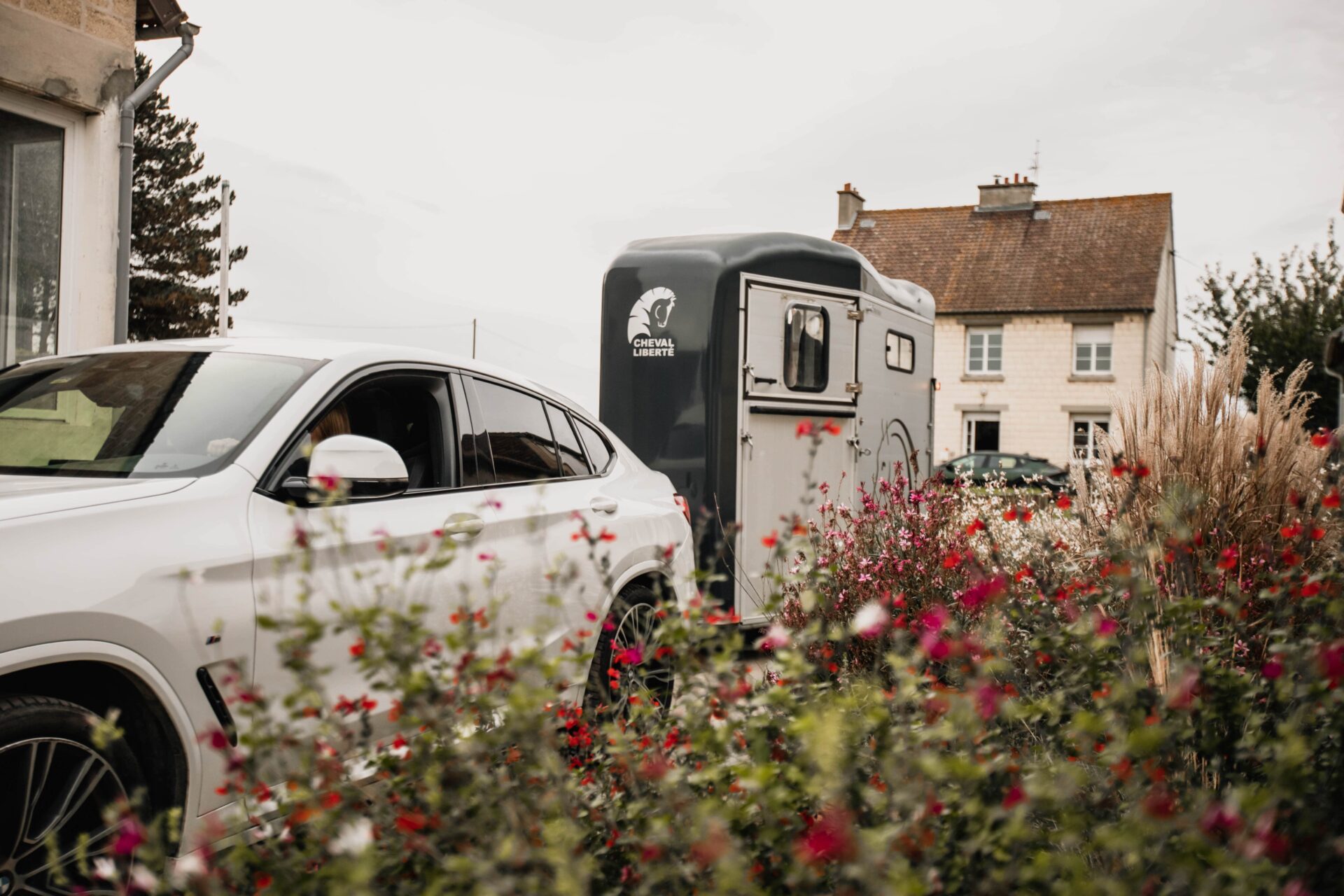 Transporter son cheval en van : toutes les astuces à connaître !